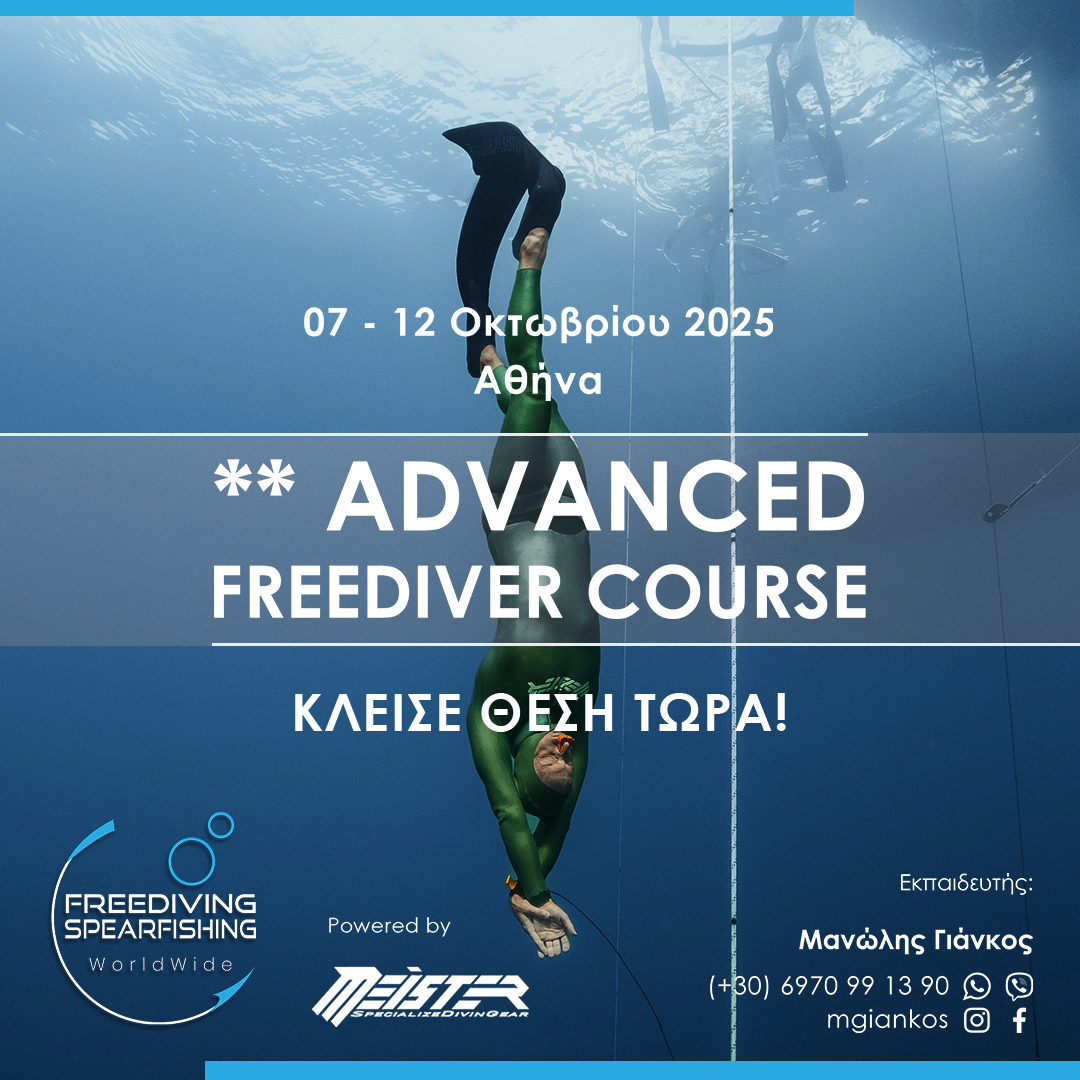 07-12-october-2025-advanced-freediver-instagram.png