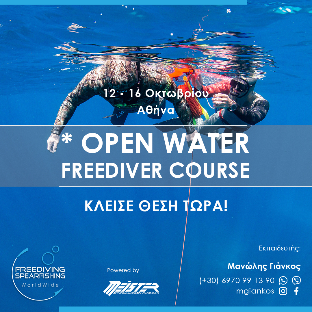 12-16-october-2022-open-water-freediver-instagram.jpg