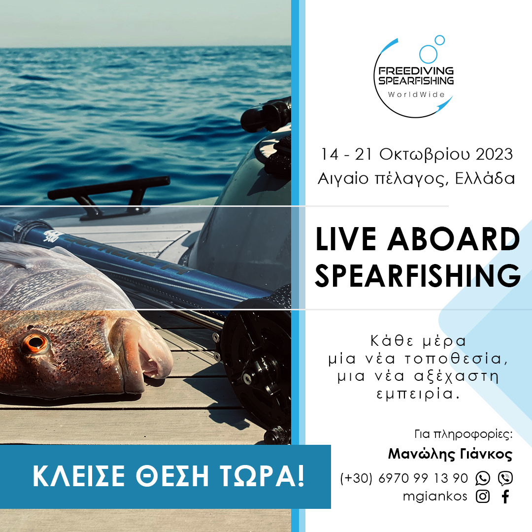 14-21-October-2023-Live-Aboard-Spearfishing-gr-instagram.jpg