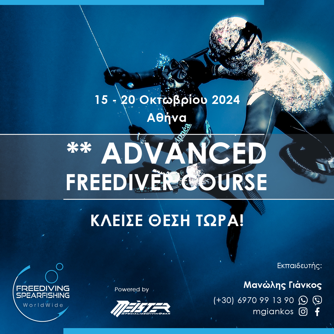 15-20-october-2024-advanced-freediver-instagram.jpg