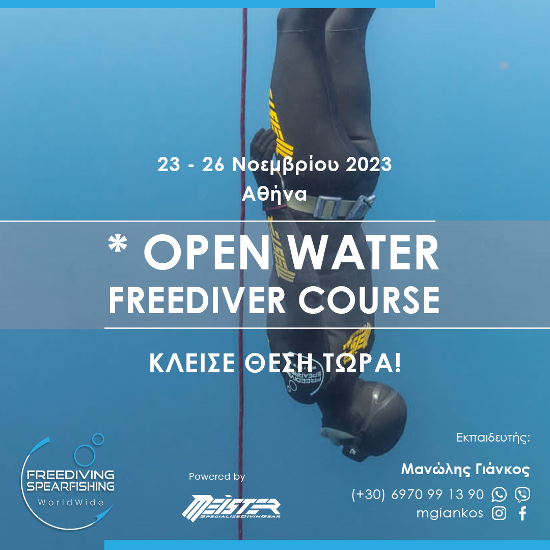 23-26-november-2023-open-water-freediver-instagram.jpg