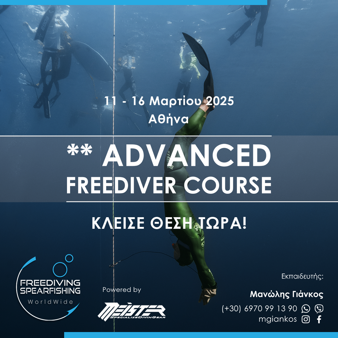 11-16-march-2025-advanced-freediver-instagram.png