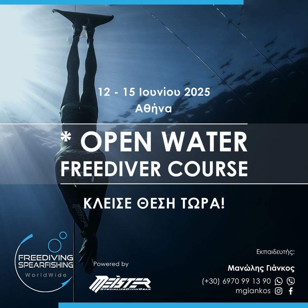 12-15-june-2025-open-water-freediver-instagram.png