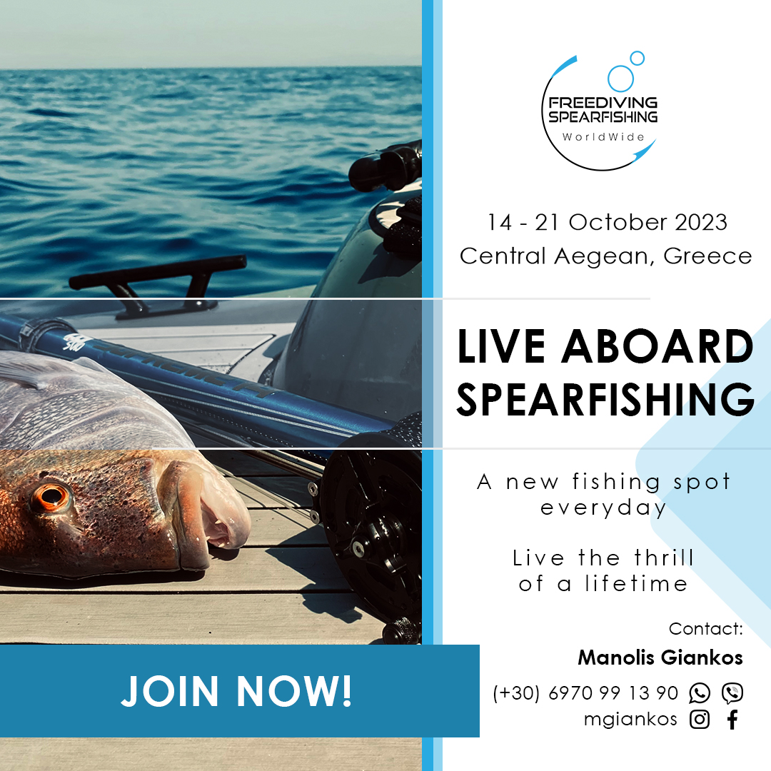 14-21-October-2023-Live-Aboard-Spearfishing-en-instagram.jpg