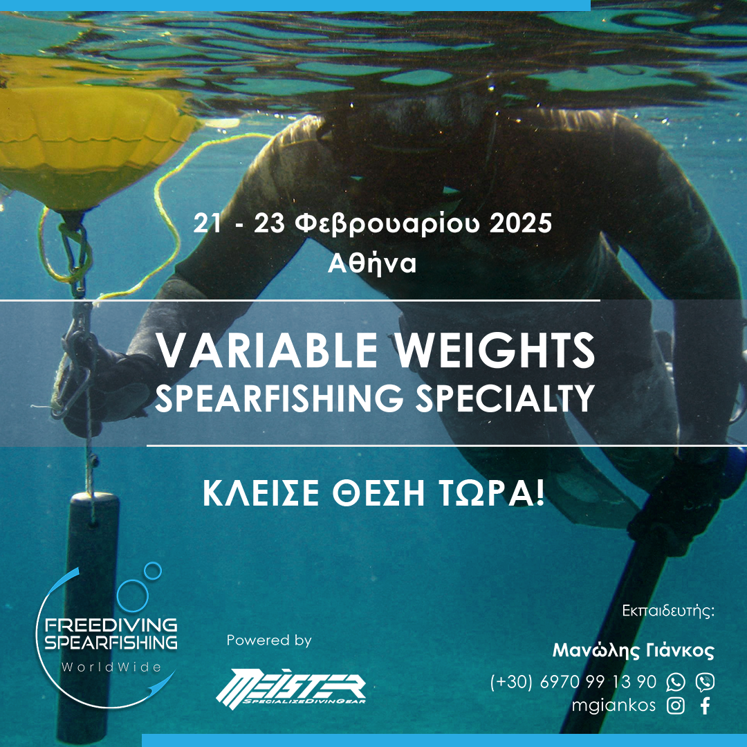 21-23-february-2025-variable-weights-spearfishing-specialty-instagram.png