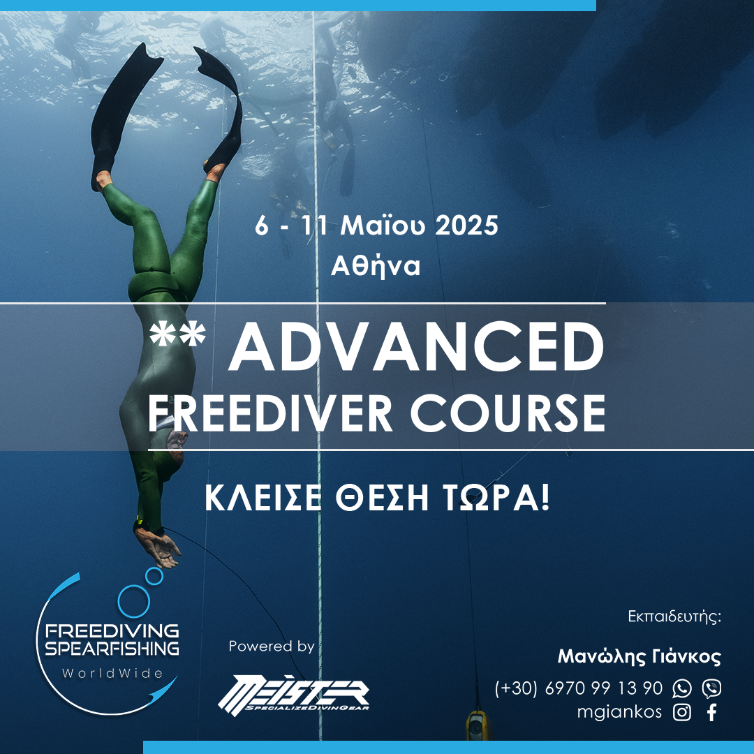 6-11-may-2025-advanced-freediver-instagram.png